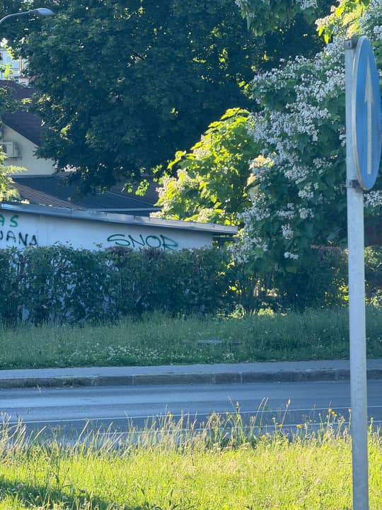 Šmartinska cesta