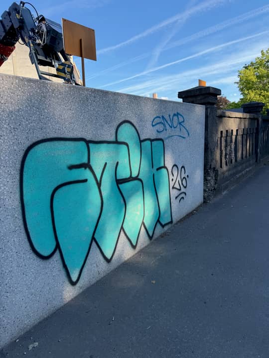 Šmartinska cesta
