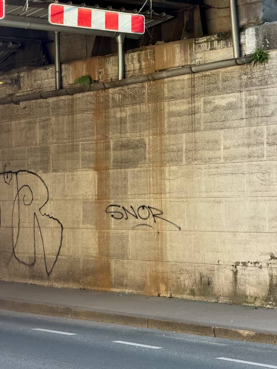 Šmartinska cesta