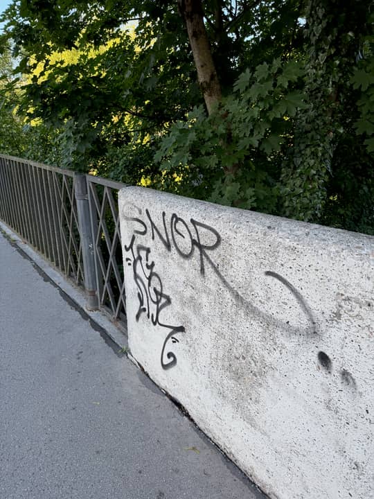 Rozmanova ulica