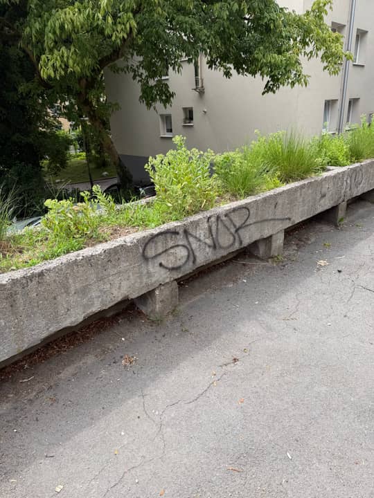 Karlovška cesta