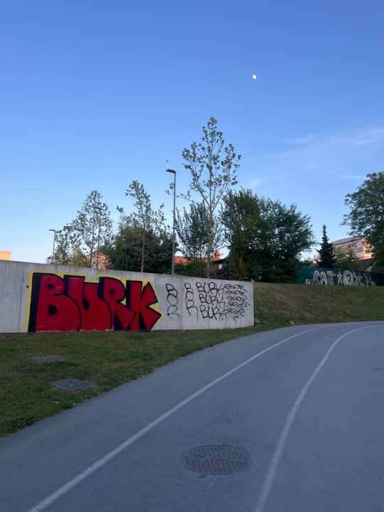 Živinozdravska ulica