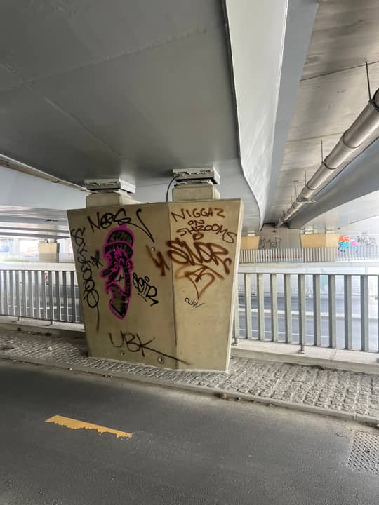 Dunajska cesta