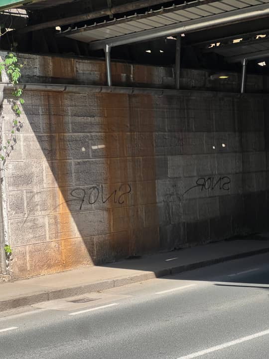Šmartinska cesta 17