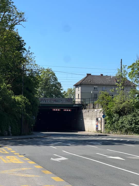 Šmartinska cesta