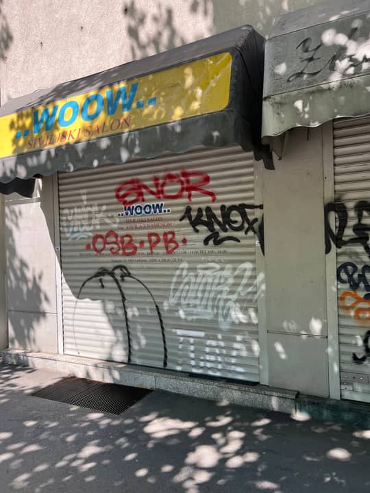 Dunajska cesta