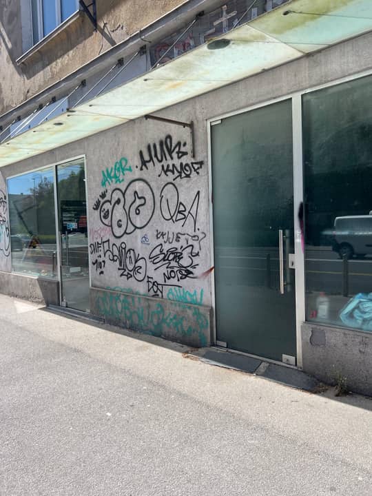Celovška cesta 53