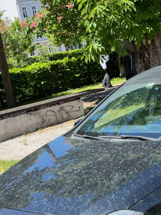 Grudnovo nabrežje
