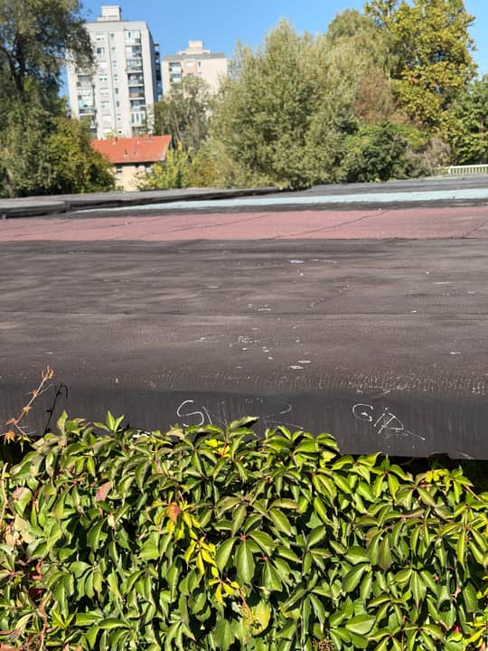 Miklavčeva ulica 56